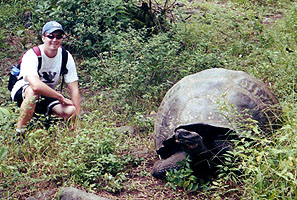 Galapagos Tortoise